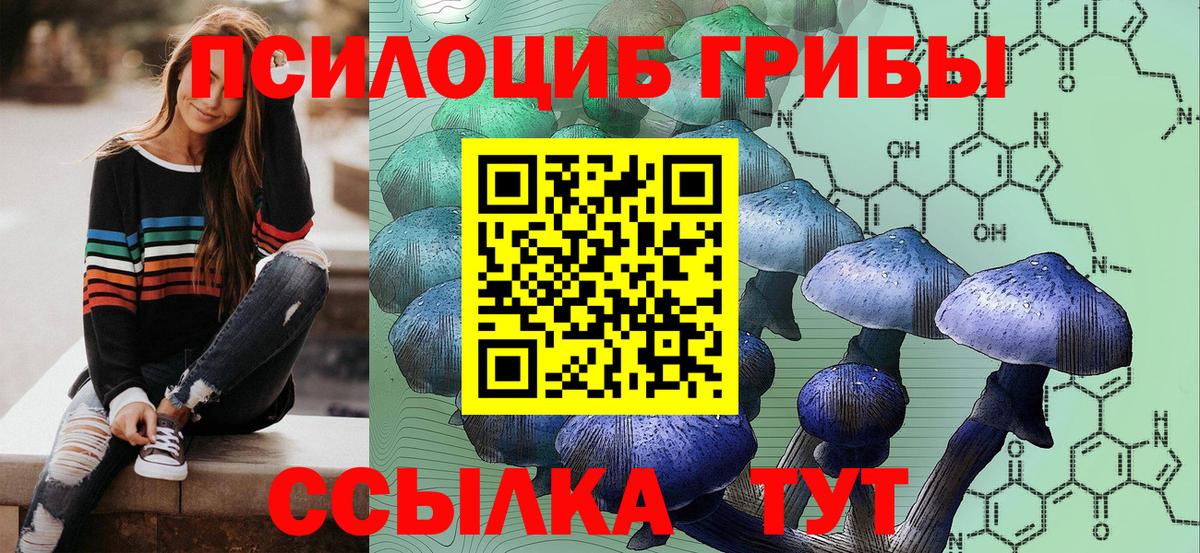 Сунжа  Галлюциногенные грибы Magic Shrooms  Вход с VPN  Псилоцибиновые грибы мицелий 