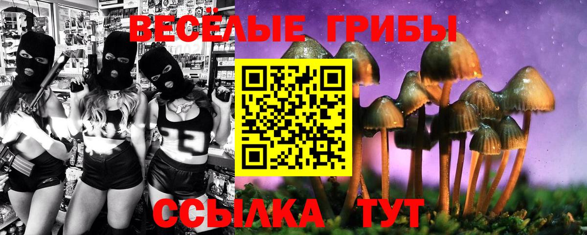 Псилоцибиновые грибы MAGIC MUSHROOMS Сунжа