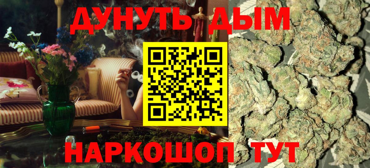 Конопля SATIVA & INDICA Сунжа